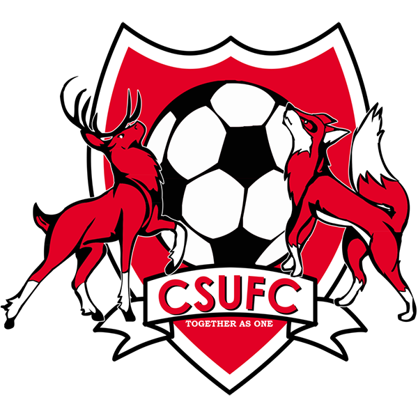 Football Club Bathurst Image